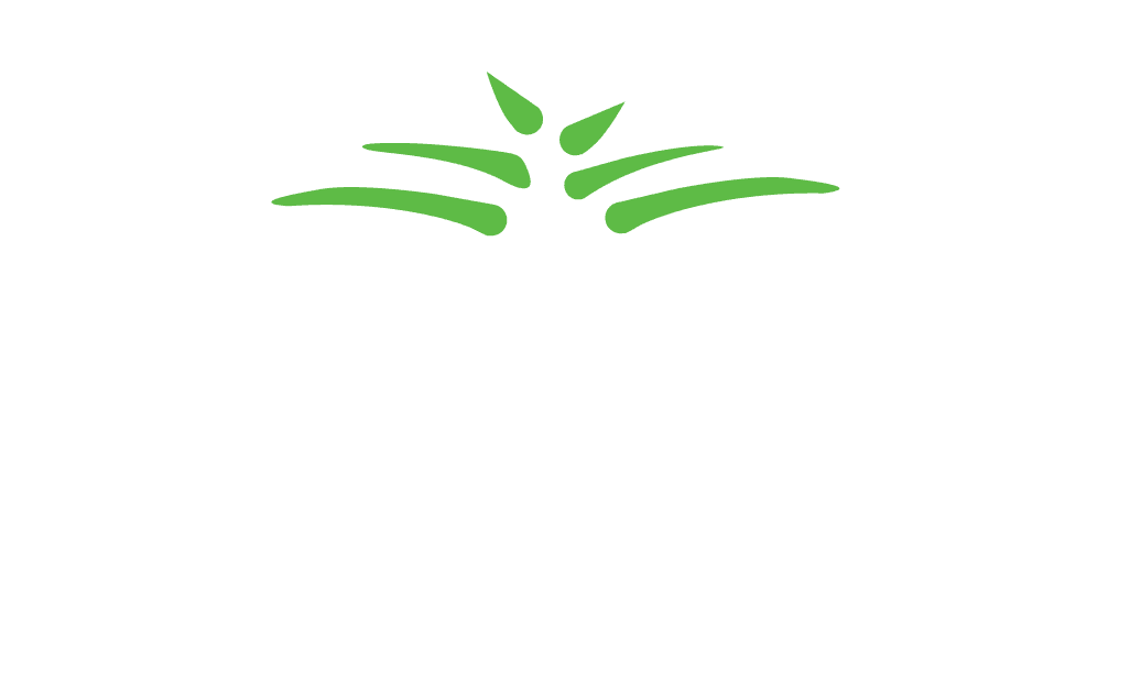 Grouh Academy